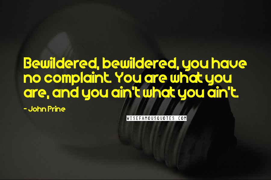 John Prine Quotes: Bewildered, bewildered, you have no complaint. You are what you are, and you ain't what you ain't.