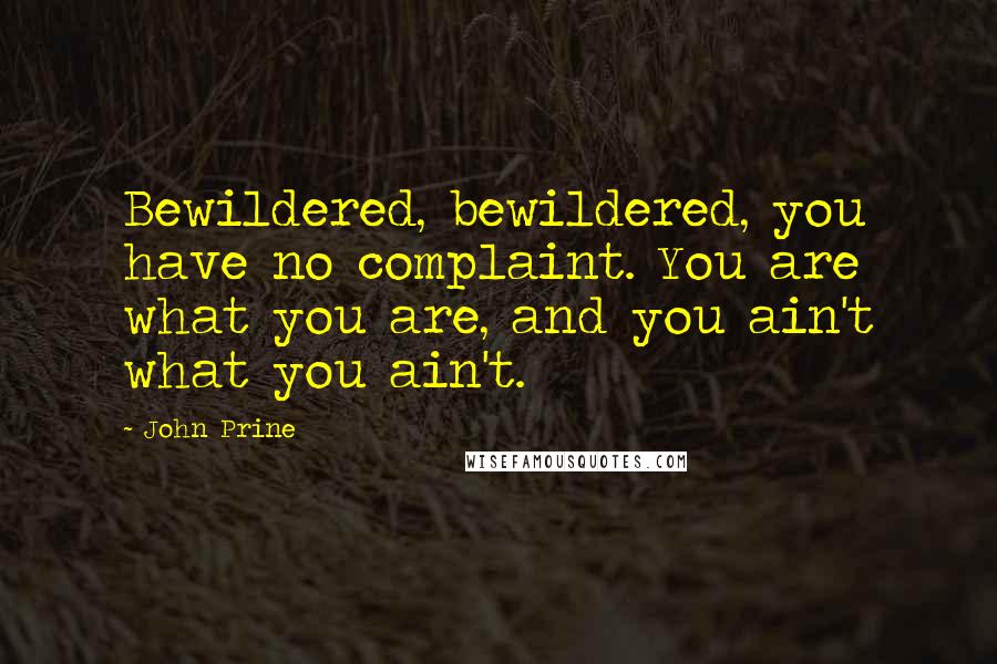 John Prine Quotes: Bewildered, bewildered, you have no complaint. You are what you are, and you ain't what you ain't.