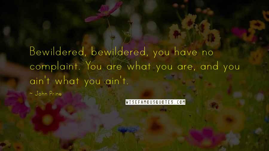 John Prine Quotes: Bewildered, bewildered, you have no complaint. You are what you are, and you ain't what you ain't.