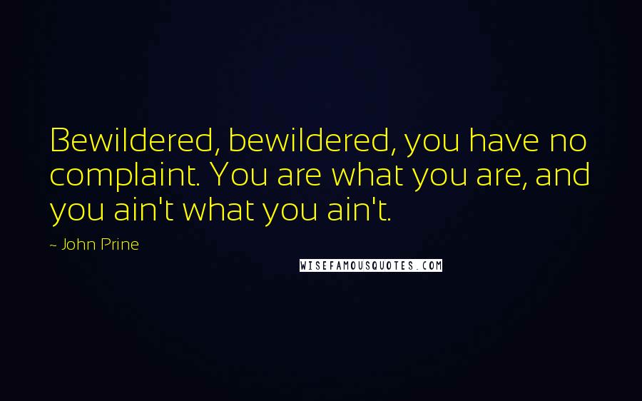 John Prine Quotes: Bewildered, bewildered, you have no complaint. You are what you are, and you ain't what you ain't.