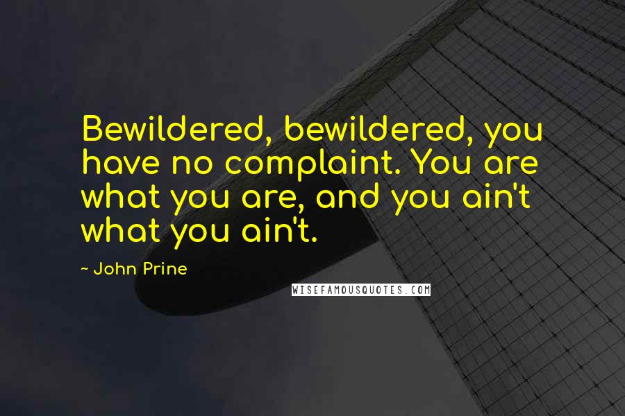 John Prine Quotes: Bewildered, bewildered, you have no complaint. You are what you are, and you ain't what you ain't.