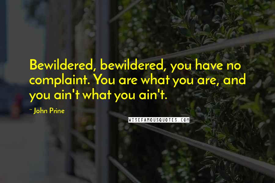 John Prine Quotes: Bewildered, bewildered, you have no complaint. You are what you are, and you ain't what you ain't.