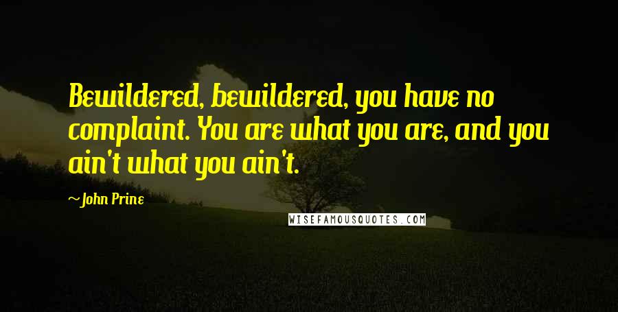 John Prine Quotes: Bewildered, bewildered, you have no complaint. You are what you are, and you ain't what you ain't.