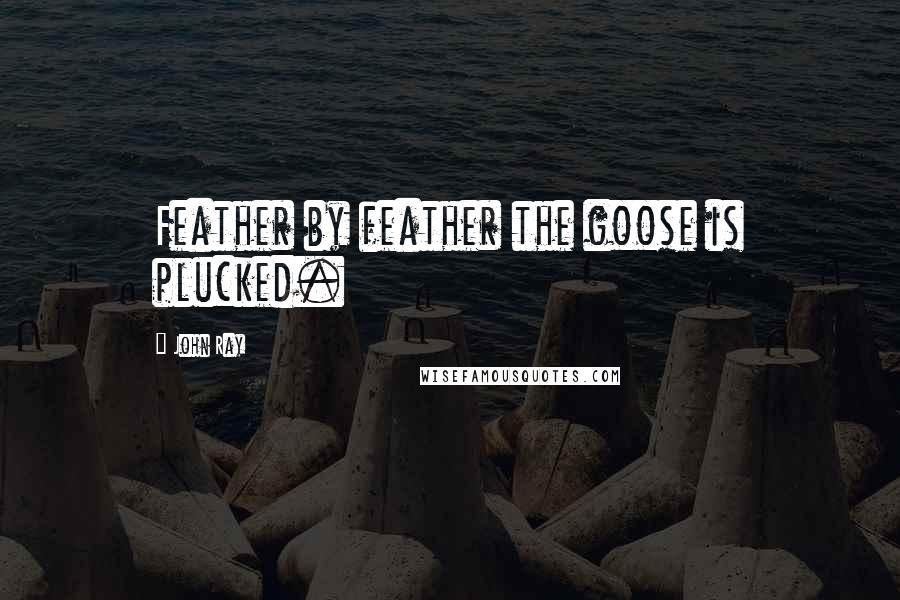 John Ray Quotes: Feather by feather the goose is plucked.