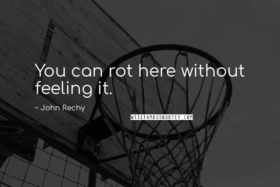 John Rechy Quotes: You can rot here without feeling it.