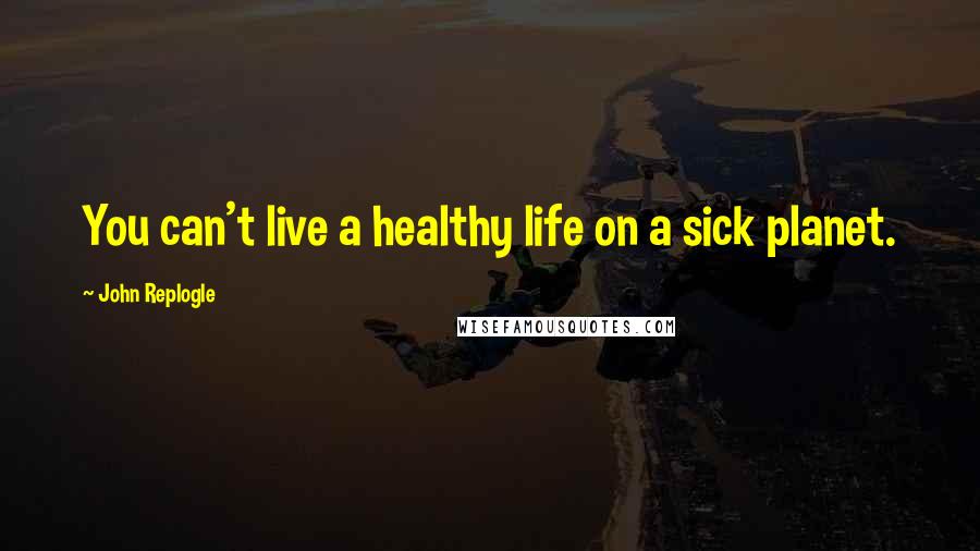 John Replogle Quotes: You can't live a healthy life on a sick planet.
