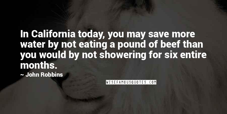 John Robbins Quotes: In California today, you may save more water by not eating a pound of beef than you would by not showering for six entire months.