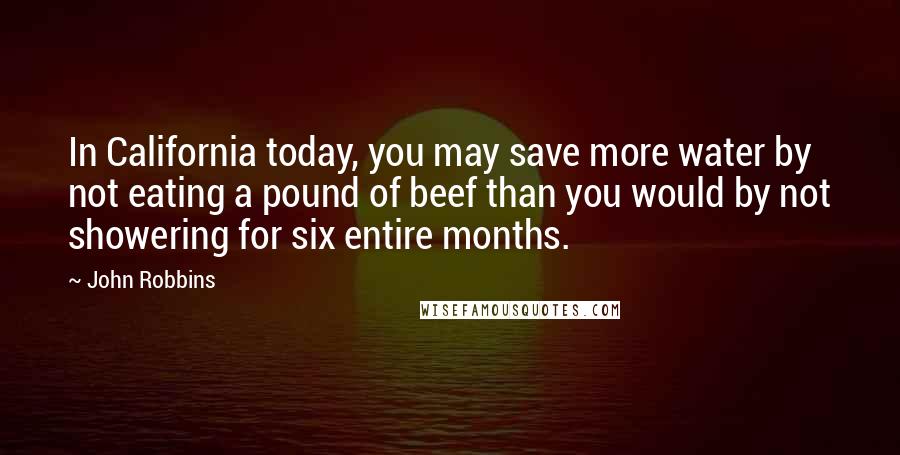 John Robbins Quotes: In California today, you may save more water by not eating a pound of beef than you would by not showering for six entire months.