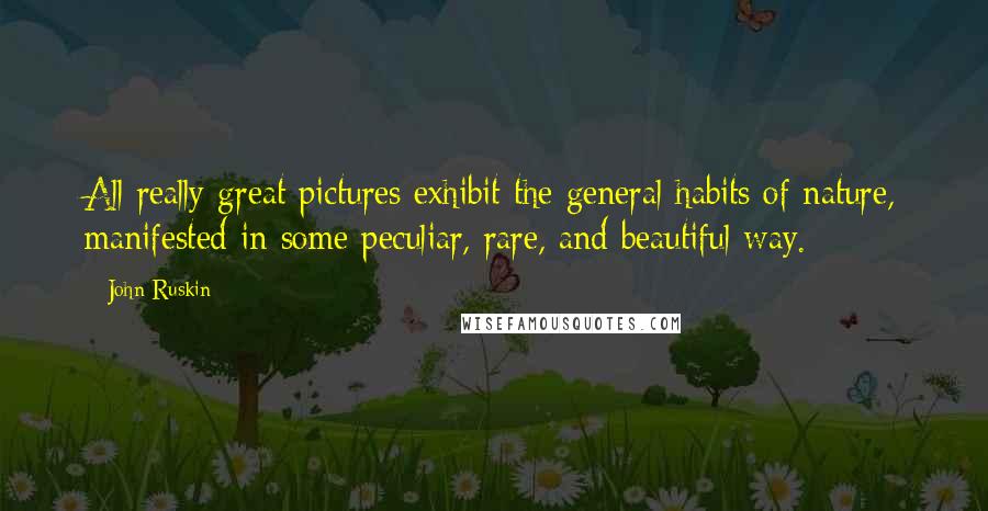 John Ruskin Quotes: All really great pictures exhibit the general habits of nature, manifested in some peculiar, rare, and beautiful way.