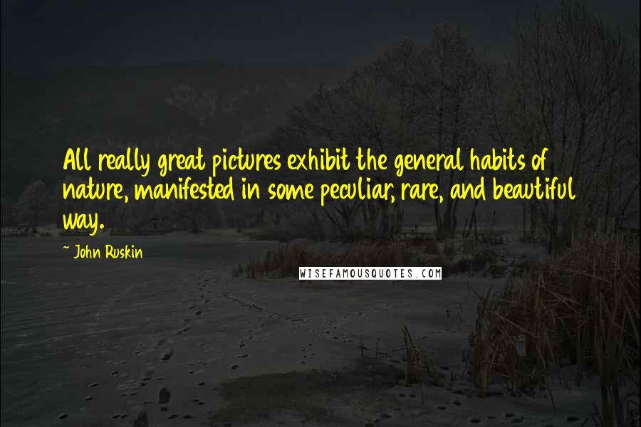 John Ruskin Quotes: All really great pictures exhibit the general habits of nature, manifested in some peculiar, rare, and beautiful way.