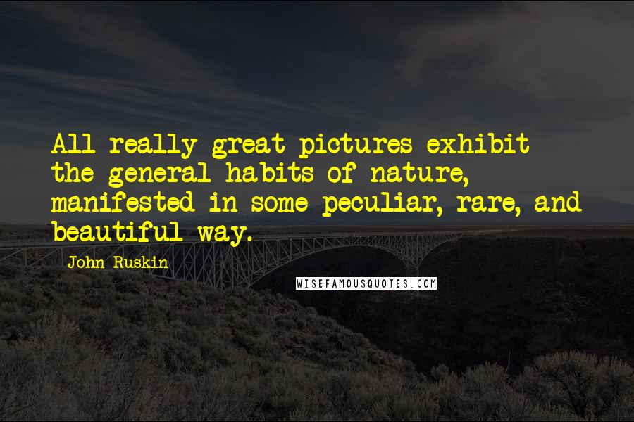 John Ruskin Quotes: All really great pictures exhibit the general habits of nature, manifested in some peculiar, rare, and beautiful way.