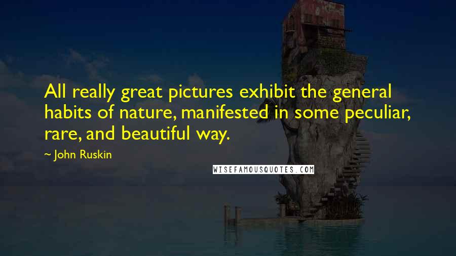 John Ruskin Quotes: All really great pictures exhibit the general habits of nature, manifested in some peculiar, rare, and beautiful way.