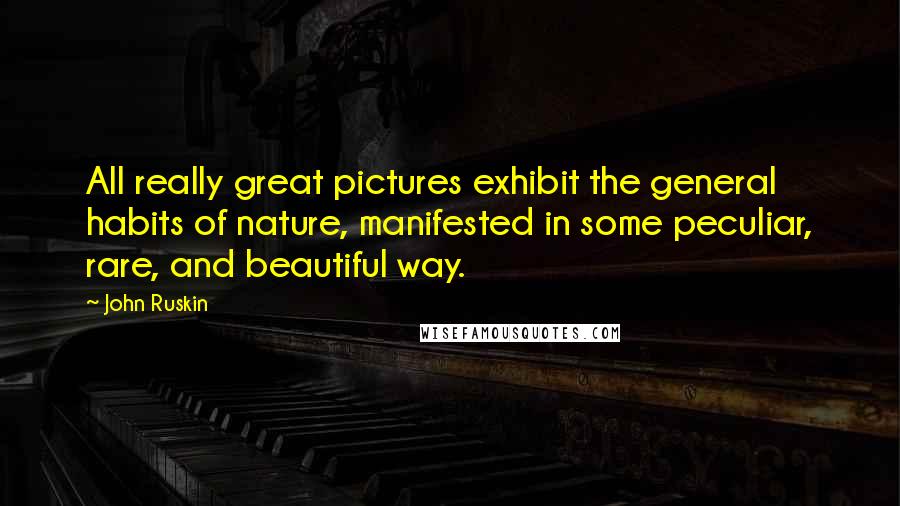 John Ruskin Quotes: All really great pictures exhibit the general habits of nature, manifested in some peculiar, rare, and beautiful way.