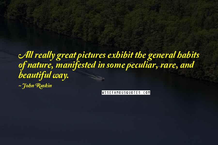 John Ruskin Quotes: All really great pictures exhibit the general habits of nature, manifested in some peculiar, rare, and beautiful way.