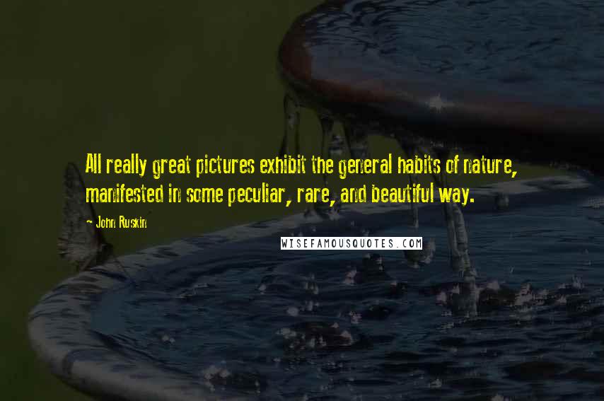 John Ruskin Quotes: All really great pictures exhibit the general habits of nature, manifested in some peculiar, rare, and beautiful way.