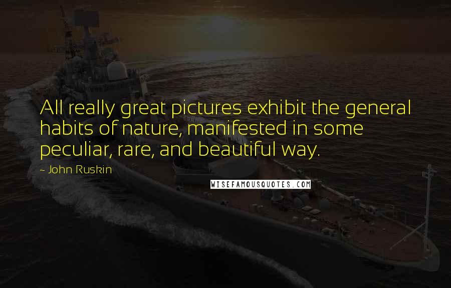 John Ruskin Quotes: All really great pictures exhibit the general habits of nature, manifested in some peculiar, rare, and beautiful way.