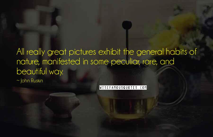 John Ruskin Quotes: All really great pictures exhibit the general habits of nature, manifested in some peculiar, rare, and beautiful way.