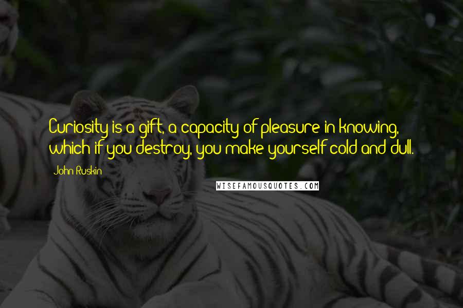 John Ruskin Quotes: Curiosity is a gift, a capacity of pleasure in knowing, which if you destroy, you make yourself cold and dull.