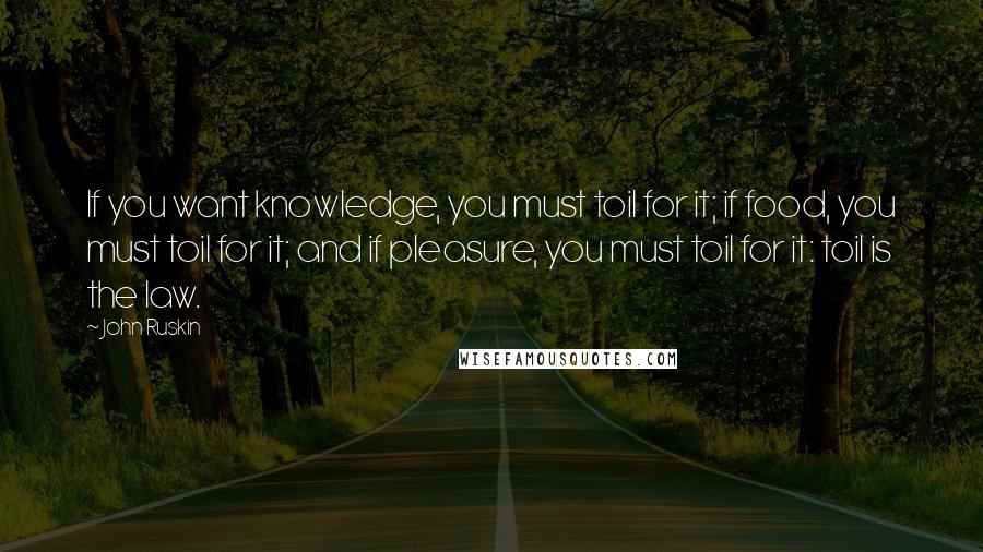 John Ruskin Quotes: If you want knowledge, you must toil for it; if food, you must toil for it; and if pleasure, you must toil for it: toil is the law.