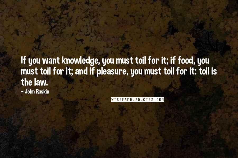 John Ruskin Quotes: If you want knowledge, you must toil for it; if food, you must toil for it; and if pleasure, you must toil for it: toil is the law.