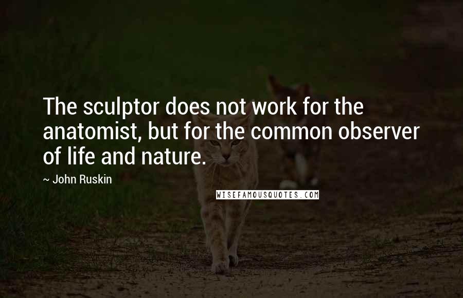 John Ruskin Quotes: The sculptor does not work for the anatomist, but for the common observer of life and nature.