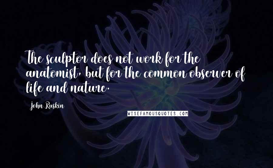 John Ruskin Quotes: The sculptor does not work for the anatomist, but for the common observer of life and nature.