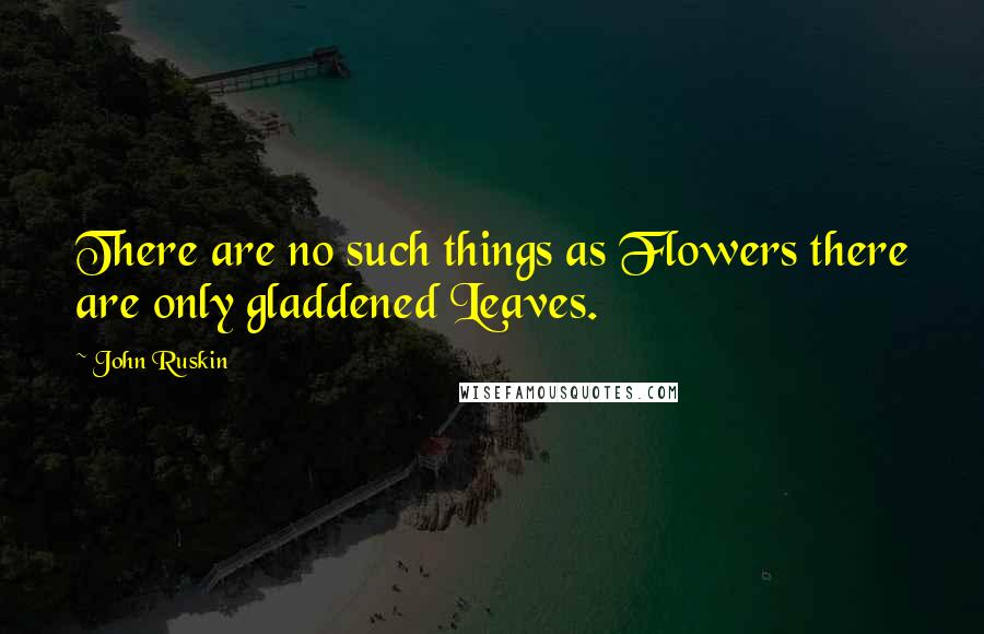 John Ruskin Quotes: There are no such things as Flowers there are only gladdened Leaves.