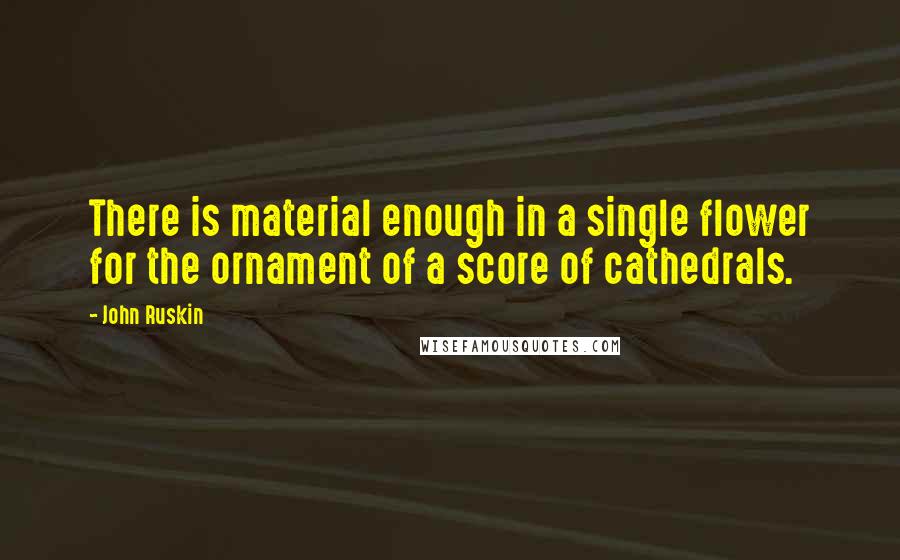 John Ruskin Quotes: There is material enough in a single flower for the ornament of a score of cathedrals.