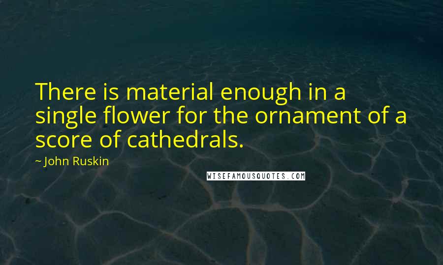 John Ruskin Quotes: There is material enough in a single flower for the ornament of a score of cathedrals.