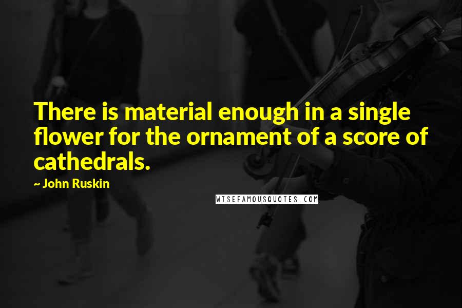 John Ruskin Quotes: There is material enough in a single flower for the ornament of a score of cathedrals.