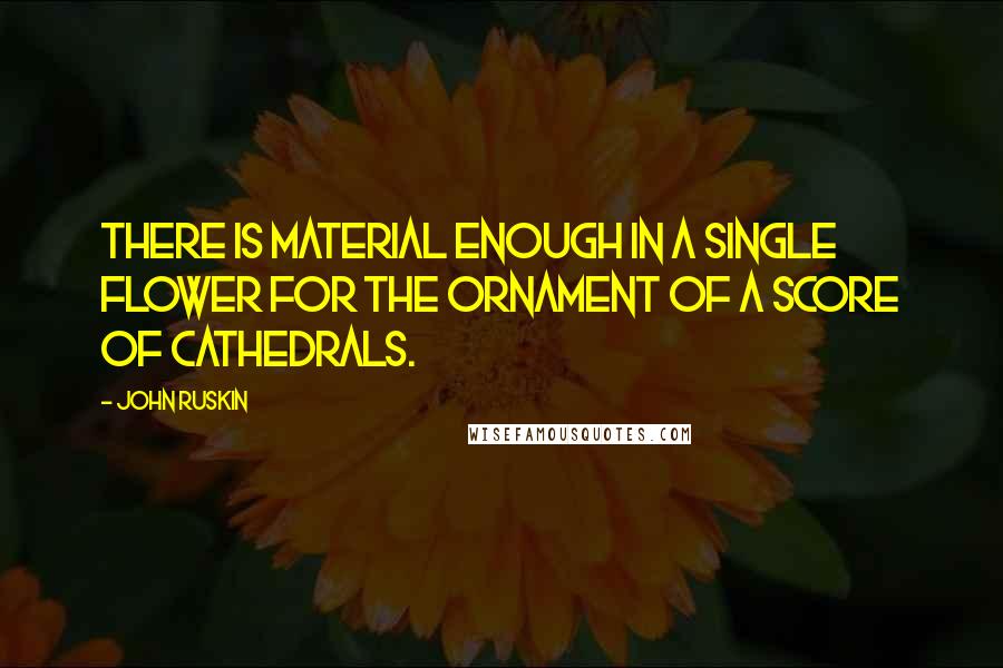 John Ruskin Quotes: There is material enough in a single flower for the ornament of a score of cathedrals.