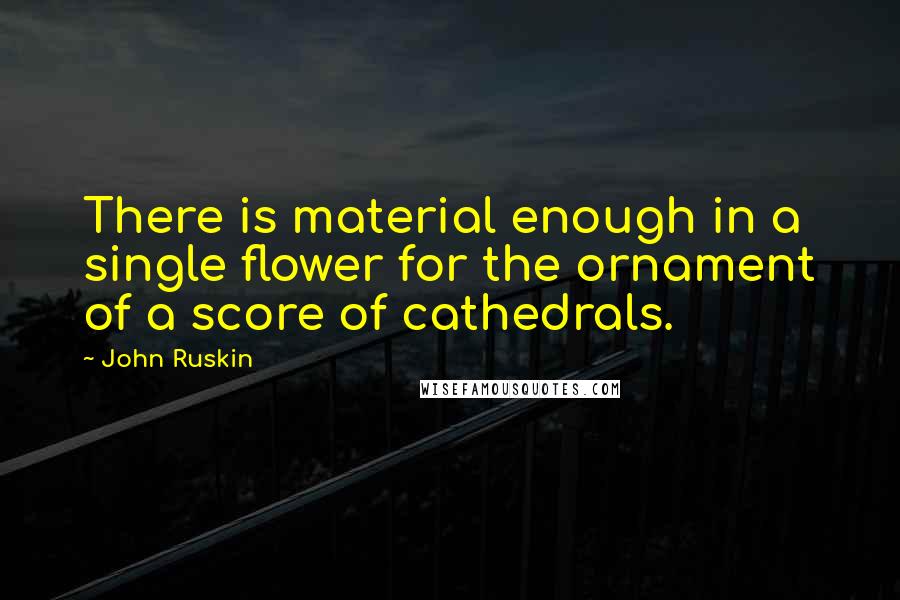 John Ruskin Quotes: There is material enough in a single flower for the ornament of a score of cathedrals.