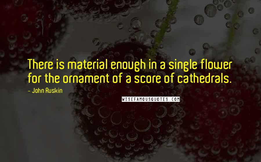 John Ruskin Quotes: There is material enough in a single flower for the ornament of a score of cathedrals.