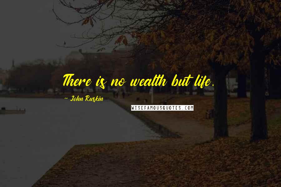 John Ruskin Quotes: There is no wealth but life.