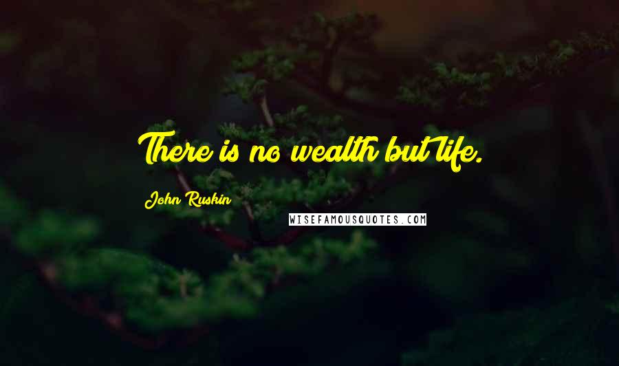 John Ruskin Quotes: There is no wealth but life.