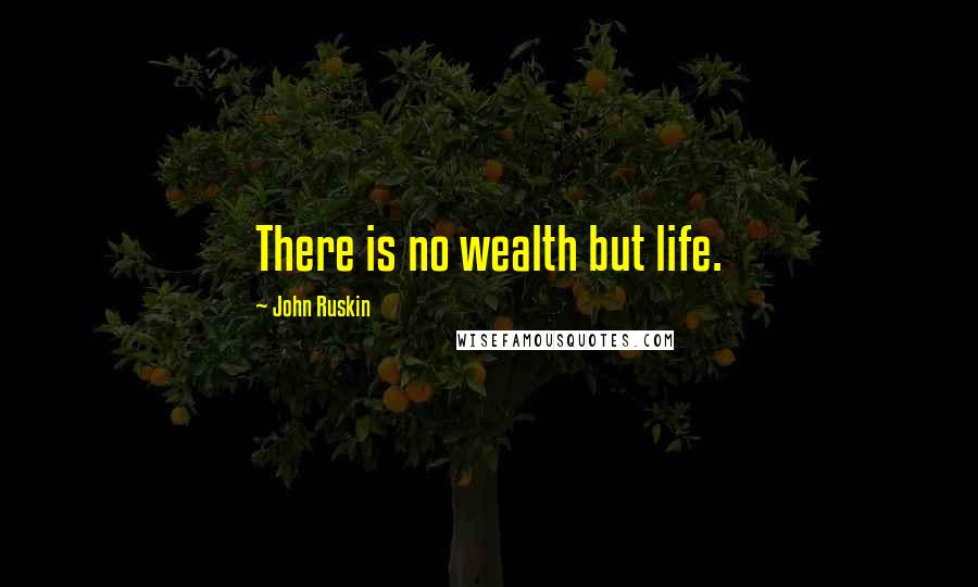 John Ruskin Quotes: There is no wealth but life.