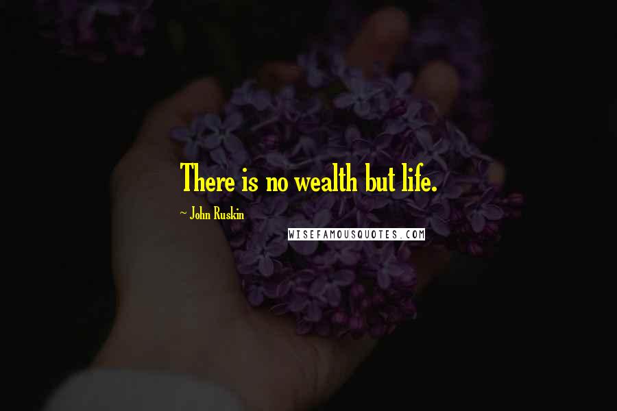 John Ruskin Quotes: There is no wealth but life.