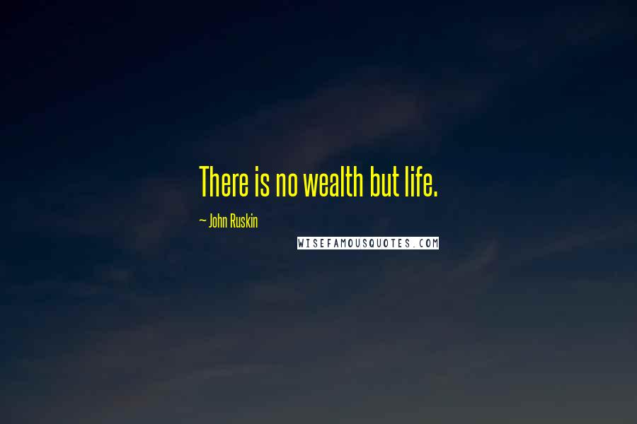 John Ruskin Quotes: There is no wealth but life.