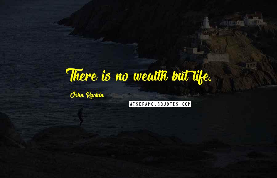 John Ruskin Quotes: There is no wealth but life.