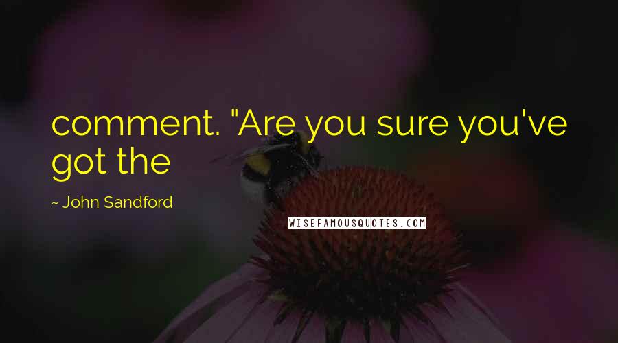 John Sandford Quotes: comment. "Are you sure you've got the