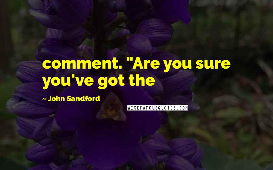 John Sandford Quotes: comment. "Are you sure you've got the