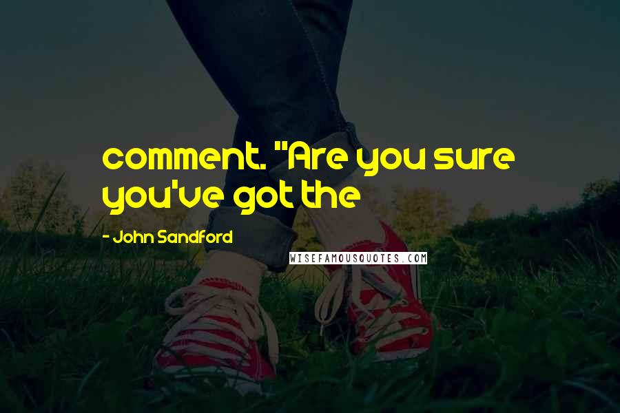 John Sandford Quotes: comment. "Are you sure you've got the