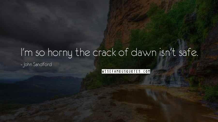 John Sandford Quotes: I'm so horny the crack of dawn isn't safe.