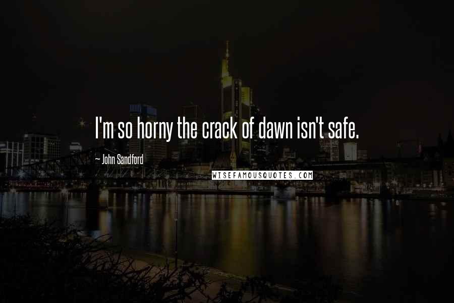 John Sandford Quotes: I'm so horny the crack of dawn isn't safe.