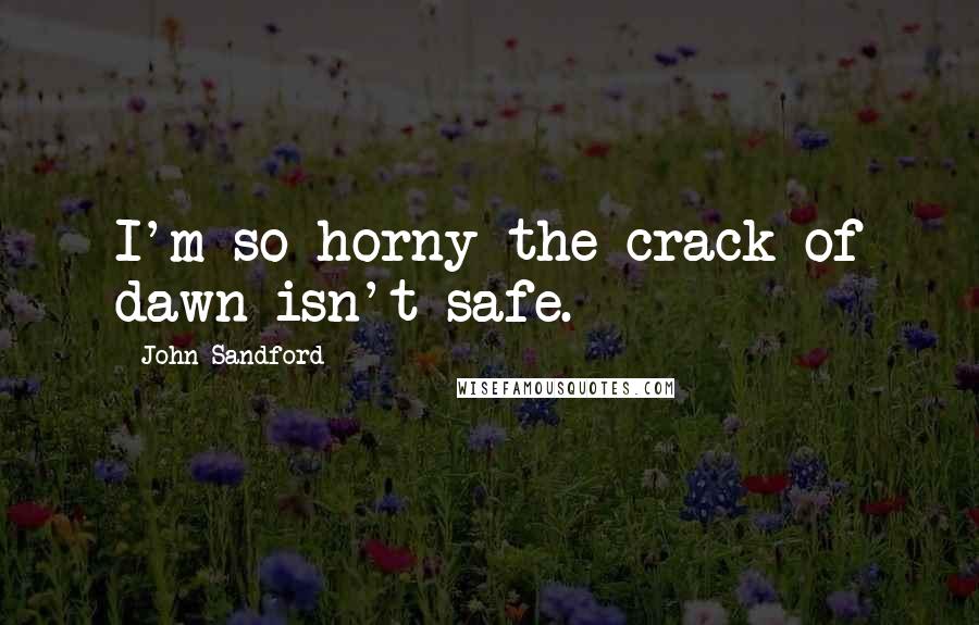 John Sandford Quotes: I'm so horny the crack of dawn isn't safe.