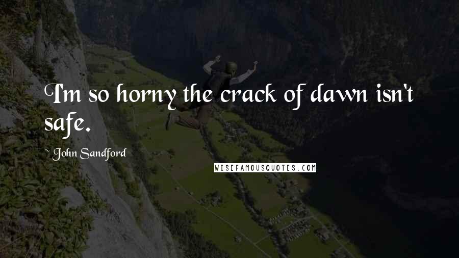 John Sandford Quotes: I'm so horny the crack of dawn isn't safe.