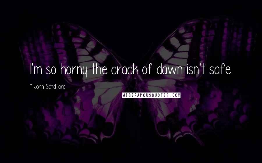 John Sandford Quotes: I'm so horny the crack of dawn isn't safe.