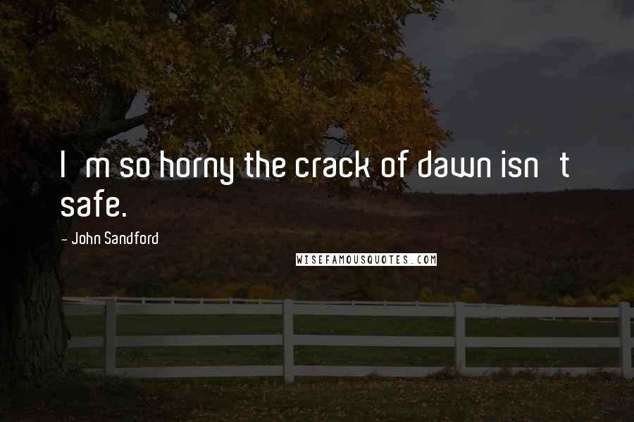 John Sandford Quotes: I'm so horny the crack of dawn isn't safe.