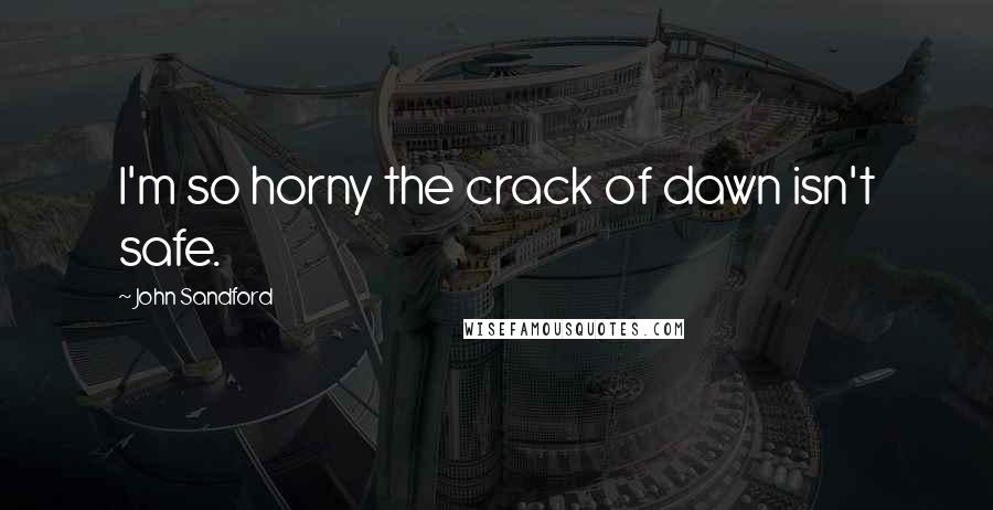 John Sandford Quotes: I'm so horny the crack of dawn isn't safe.