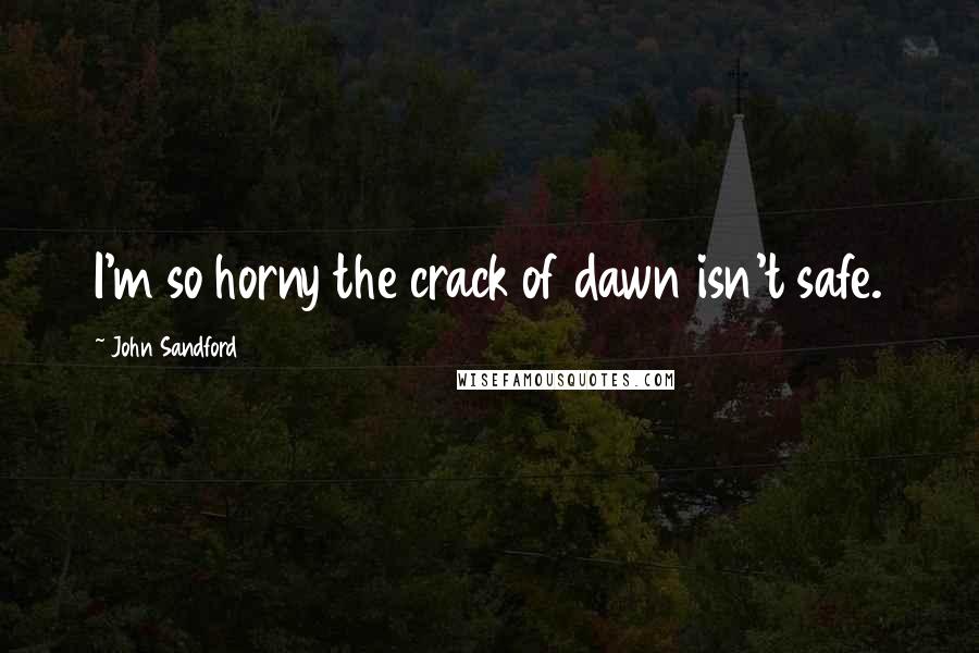 John Sandford Quotes: I'm so horny the crack of dawn isn't safe.